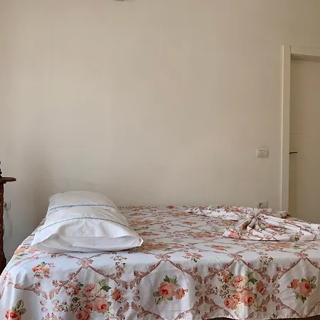 The Beautiful View * ティラナ